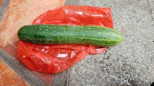 都什么瓜可以吃,探索哪些瓜可以尽享美味