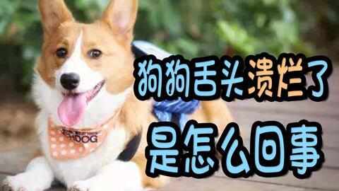 吃瓜烂舌头咋回事,揭秘“吃瓜烂舌头”现象背后的真相