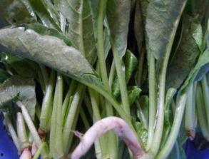 樱子吃瓜,揭秘娱乐圈背后的秘密