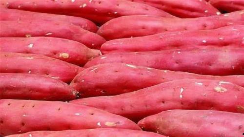 土瓜天天吃,健康生活每一天