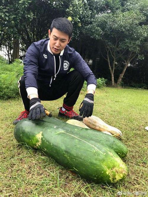 表情吃瓜配文,揭秘网络社交背后的趣味与真相