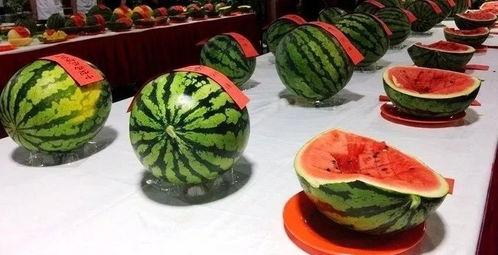 吃瓜群众请吃饭,一场别开生面的聚餐之旅