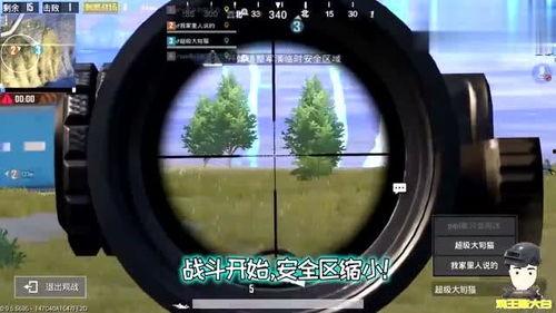 吃瓜鸡比赛视频,趣味横生的动物竞技盛宴