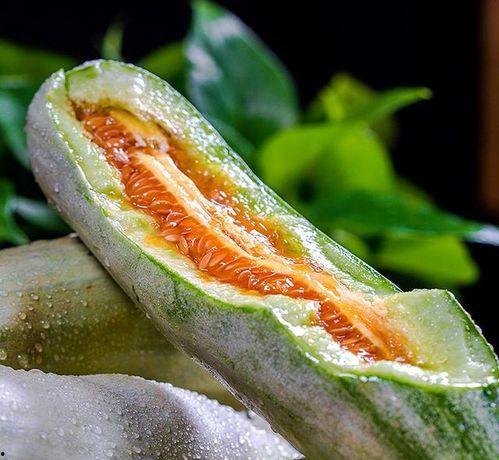 头进去了吃瓜,品味人生百态