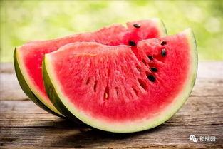 华西二院吃瓜,揭秘背后的真相与争议