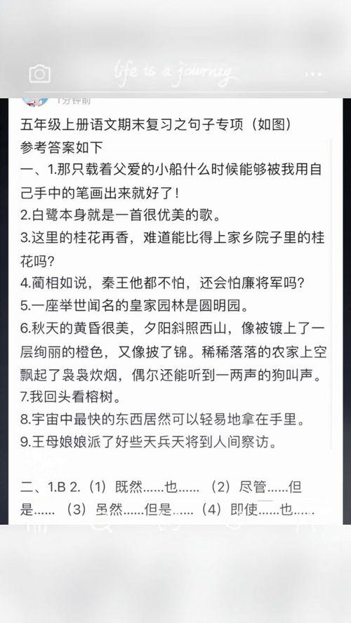 吃瓜文件期末复习,全面解析热点事件背后的真相与启示