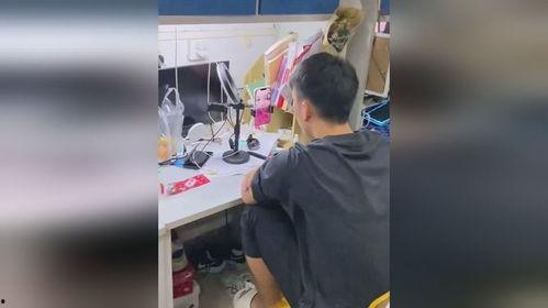 吃瓜少年视频完整,一场视频引发的全民狂欢