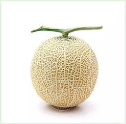 超酷的吃瓜群众头像,揭秘超酷吃瓜群众头像背后的故事