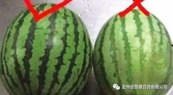 南京hero整齐吃瓜,团结一致，共享瓜果时光