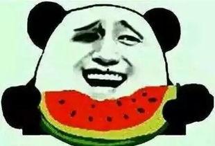 吃瓜群众挑个瓜什么意思,揭秘瓜界那些事儿