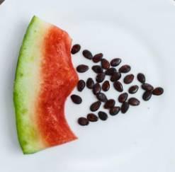 吃瓜要吐籽,品味生活点滴