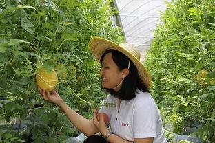 青州吃瓜董博文,董博文带你领略吃瓜艺术