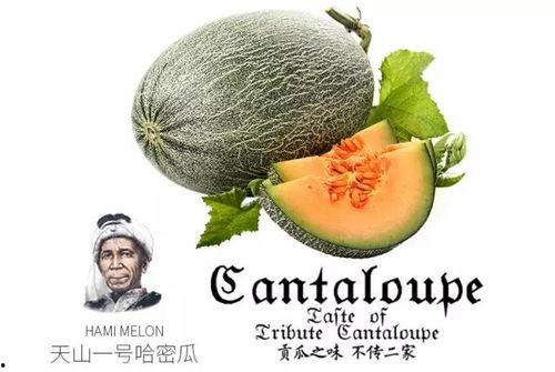 吃瓜的墨辉,揭秘娱乐圈幕后真相