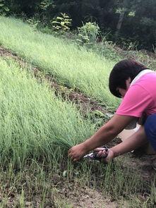 北京吃瓜群众自拍,吃瓜群众的时尚自拍瞬间