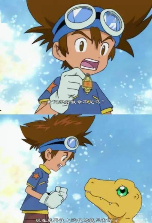 数码宝贝吃瓜,吃瓜群众揭秘神秘世界