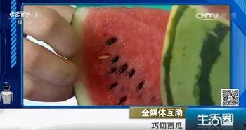 古代吃瓜不吐籽,吃瓜不吐籽，品味传统饮食文化